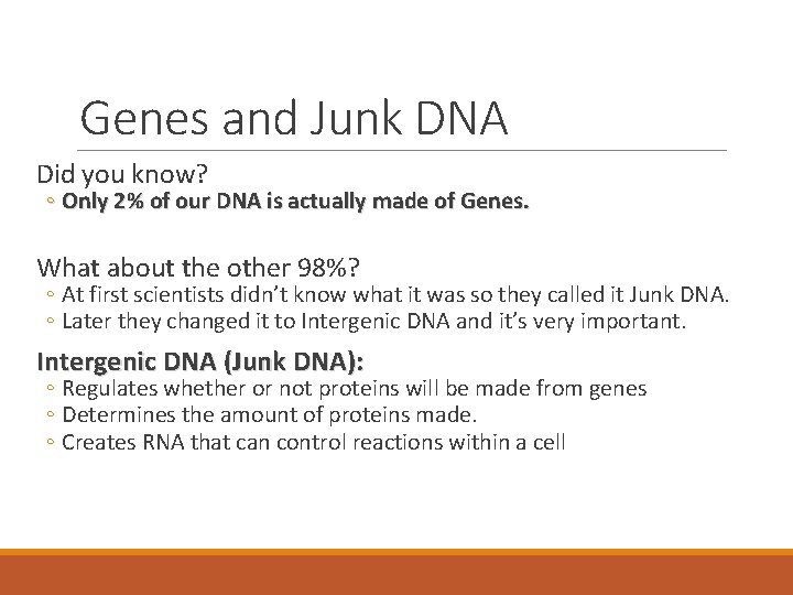 Genes and Junk DNA Did you know? ◦ Only 2% of our DNA is