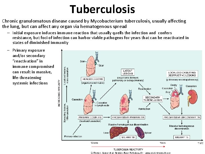 Tuberculosis Chronic granulomatous disease caused by Mycobacterium tuberculosis, usually affecting the lung, but can