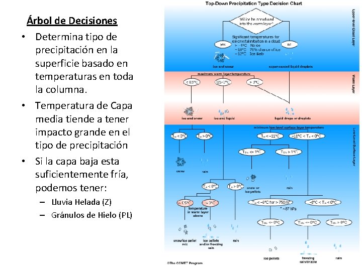 Árbol de Decisiones • Determina tipo de precipitación en la superficie basado en temperaturas