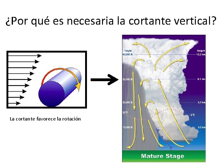 ¿Por qué es necesaria la cortante vertical? La cortante favorece la rotación 