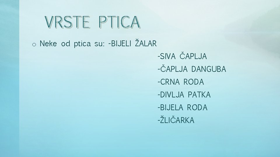 VRSTE PTICA o Neke od ptica su: -BIJELI ŽALAR -SIVA ČAPLJA -ČAPLJA DANGUBA -CRNA VRSTE PTICA o Neke od ptica su: -BIJELI ŽALAR -SIVA ČAPLJA -ČAPLJA DANGUBA -CRNA