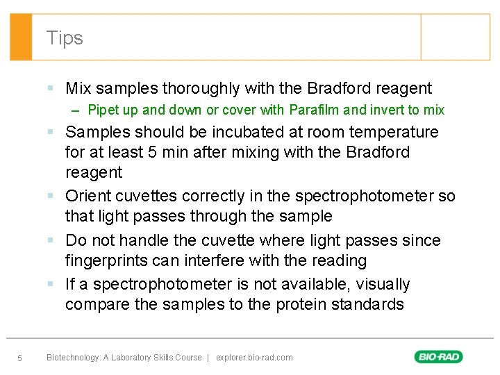 Tips § Mix samples thoroughly with the Bradford reagent – Pipet up and down Tips § Mix samples thoroughly with the Bradford reagent – Pipet up and down