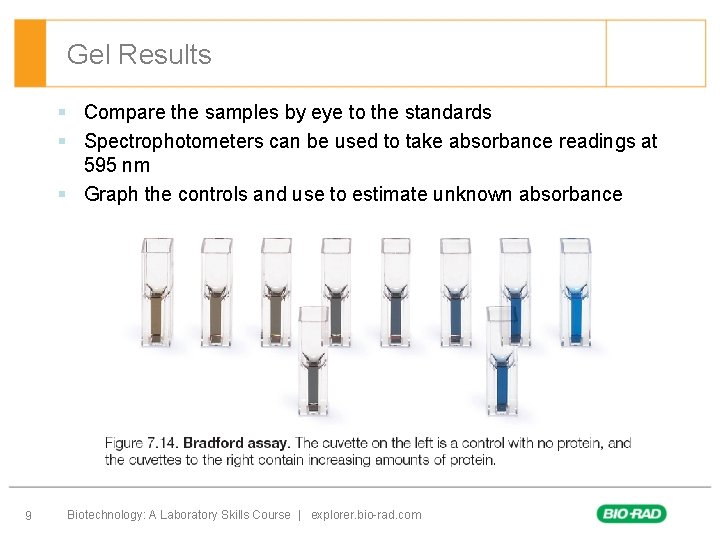Gel Results § Compare the samples by eye to the standards § Spectrophotometers can Gel Results § Compare the samples by eye to the standards § Spectrophotometers can