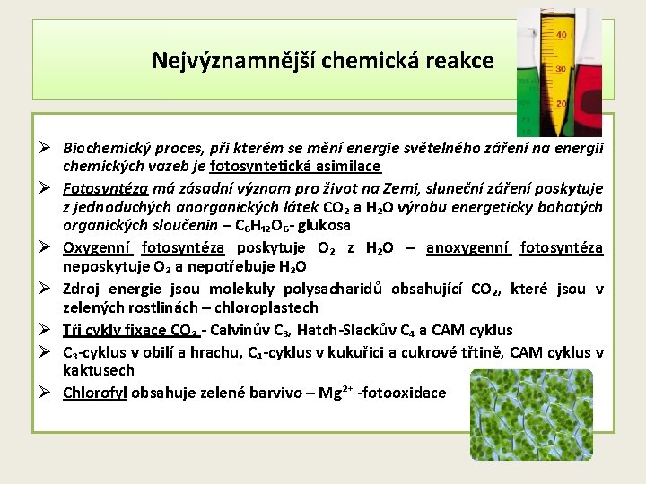 Nejvýznamnější chemická reakce Ø Biochemický proces, při kterém se mění energie světelného záření na