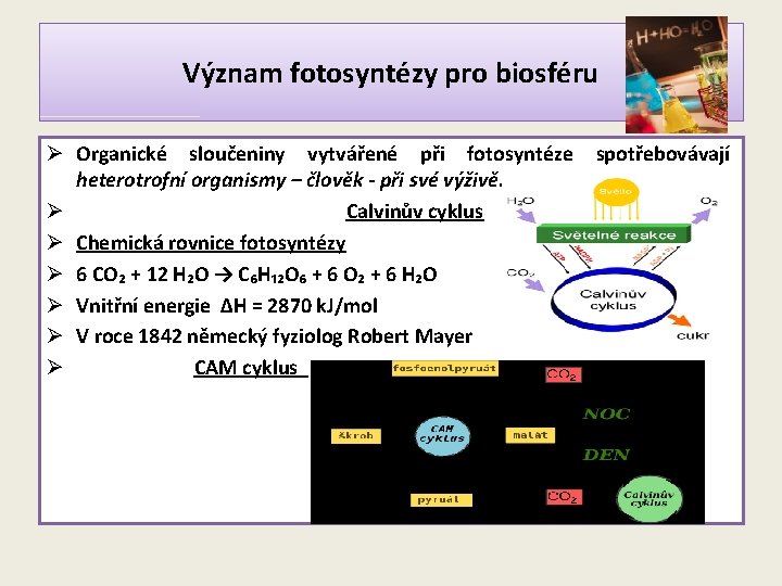 Význam fotosyntézy pro biosféru Ø Organické sloučeniny vytvářené při fotosyntéze heterotrofní organismy – člověk