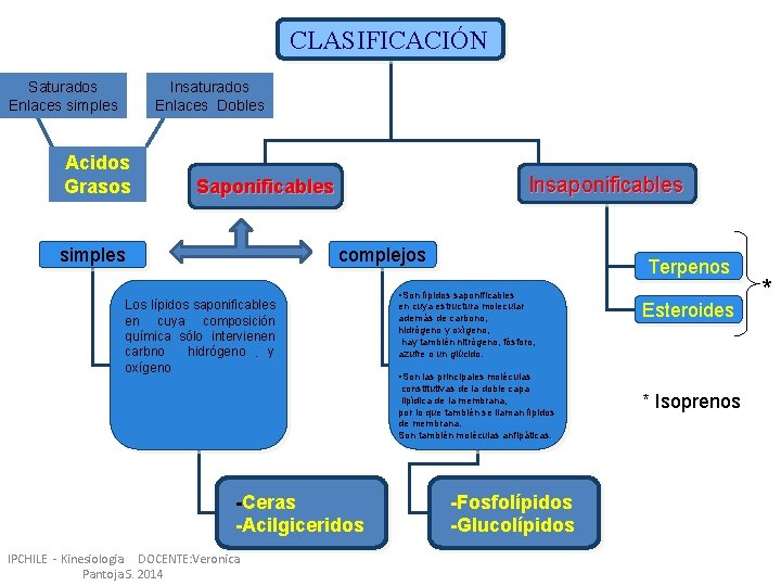 CLASIFICACIÓN Saturados Enlaces simples Insaturados Enlaces Dobles Acidos Grasos Insaponificables Saponificables simples complejos Los