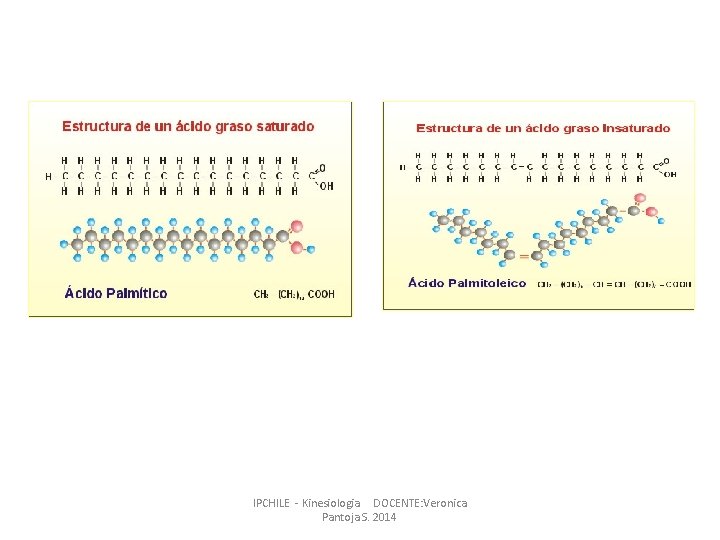 IPCHILE - Kinesiologia DOCENTE: Veronica Pantoja S. 2014 