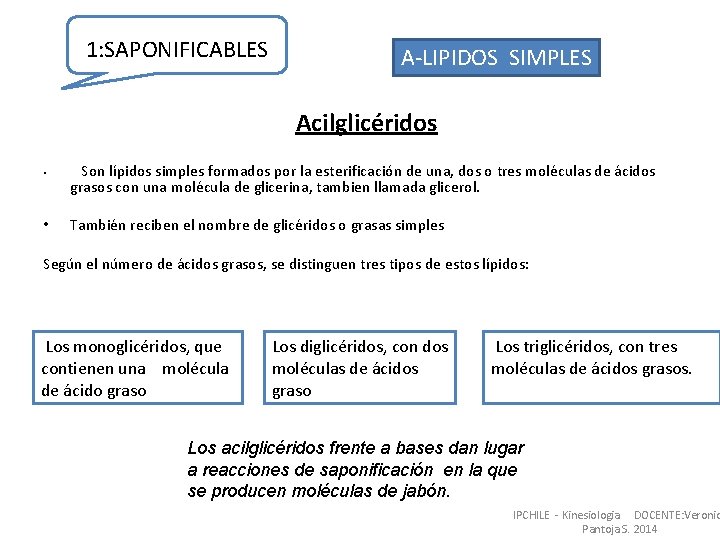 1: SAPONIFICABLES A-LIPIDOS SIMPLES Acilglicéridos • • Son lípidos simples formados por la esterificación