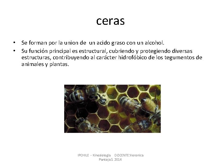 ceras • Se forman por la union de un acido graso con un alcohol.