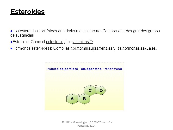 Esteroides l. Los esteroides son lípidos que derivan del esterano. Comprenden dos grandes grupos