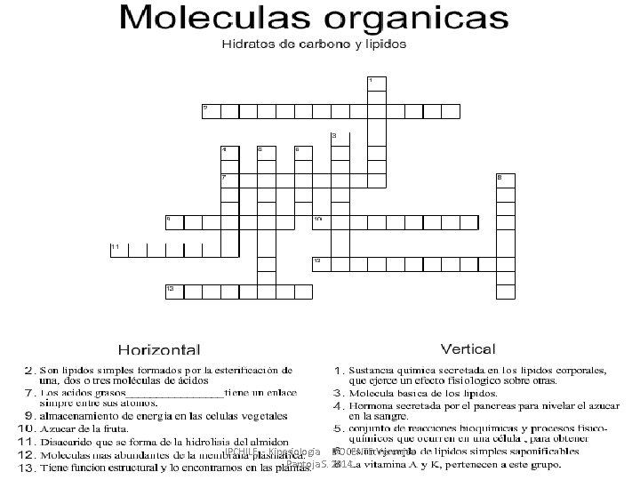 IPCHILE - Kinesiologia DOCENTE: Veronica Pantoja S. 2014 