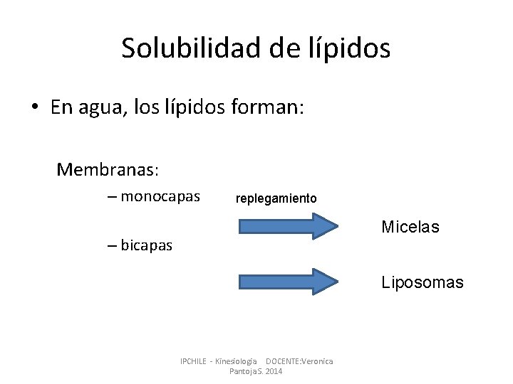 Solubilidad de lípidos • En agua, los lípidos forman: Membranas: – monocapas replegamiento Micelas