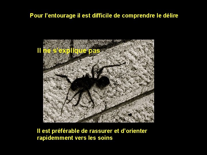Pour l’entourage il est difficile de comprendre le délire Il ne s’explique pas Il