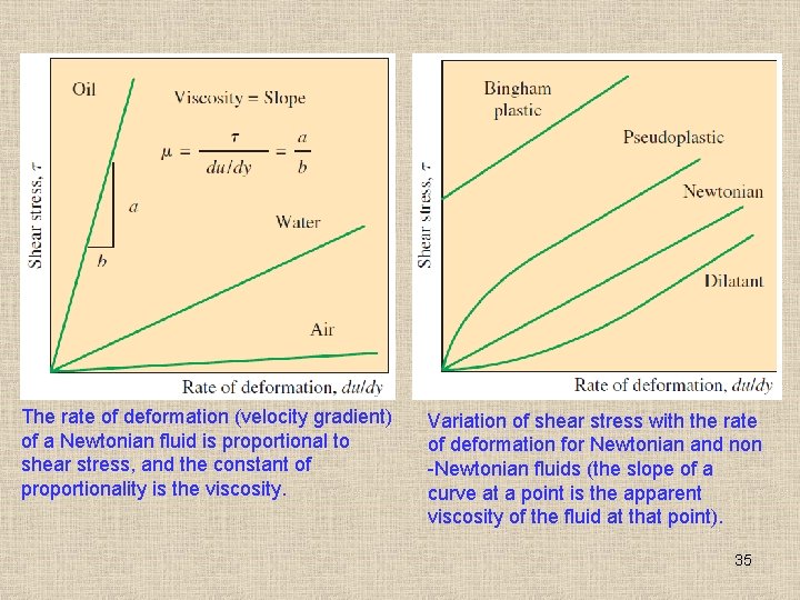 The rate of deformation (velocity gradient) of a Newtonian fluid is proportional to shear