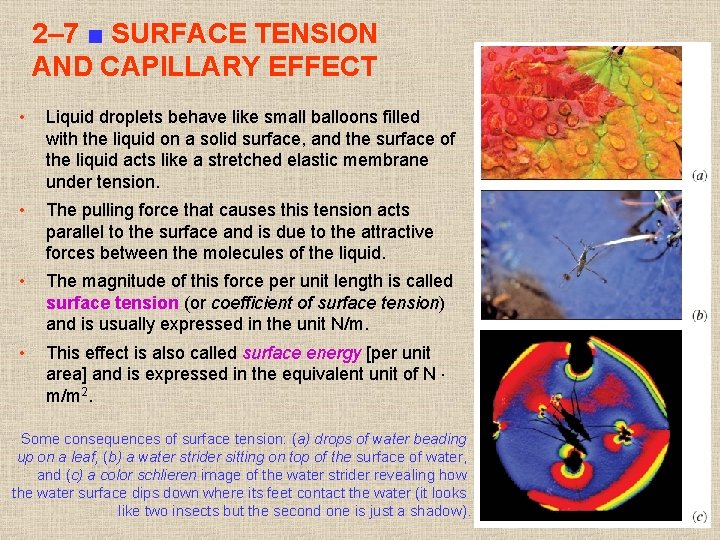 2– 7 ■ SURFACE TENSION AND CAPILLARY EFFECT • Liquid droplets behave like small