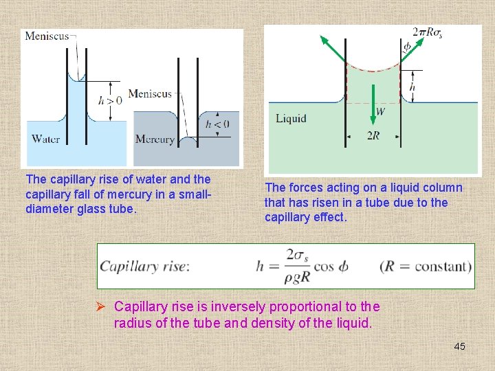 The capillary rise of water and the capillary fall of mercury in a smalldiameter