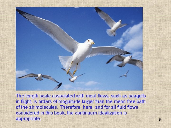 The length scale associated with most flows, such as seagulls in flight, is orders