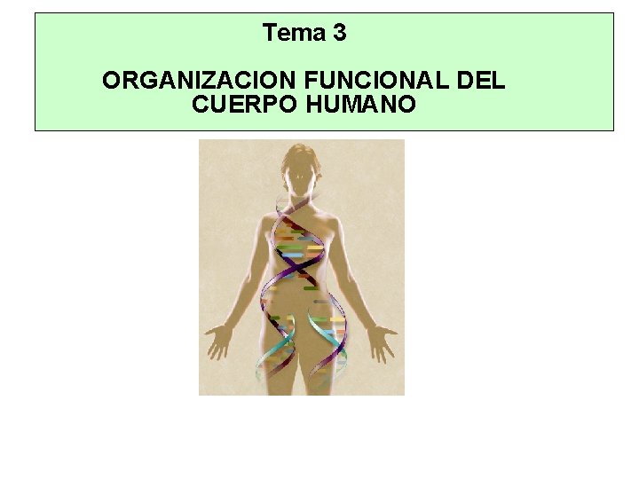 Tema 3 ORGANIZACION FUNCIONAL DEL CUERPO HUMANO 