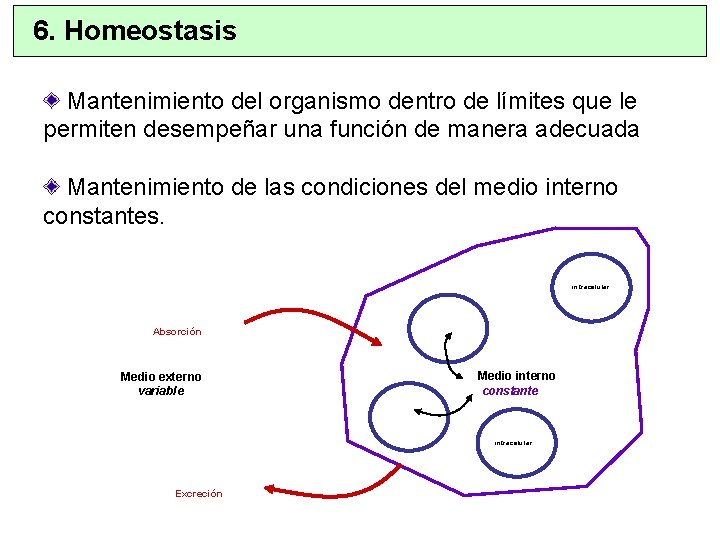 6. Homeostasis Mantenimiento del organismo dentro de límites que le permiten desempeñar una función