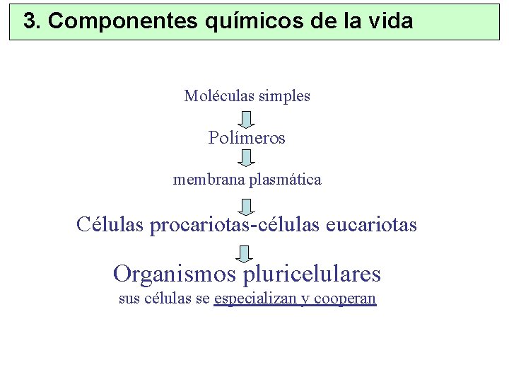 3. Componentes químicos de la vida Moléculas simples Polímeros membrana plasmática Células procariotas-células eucariotas