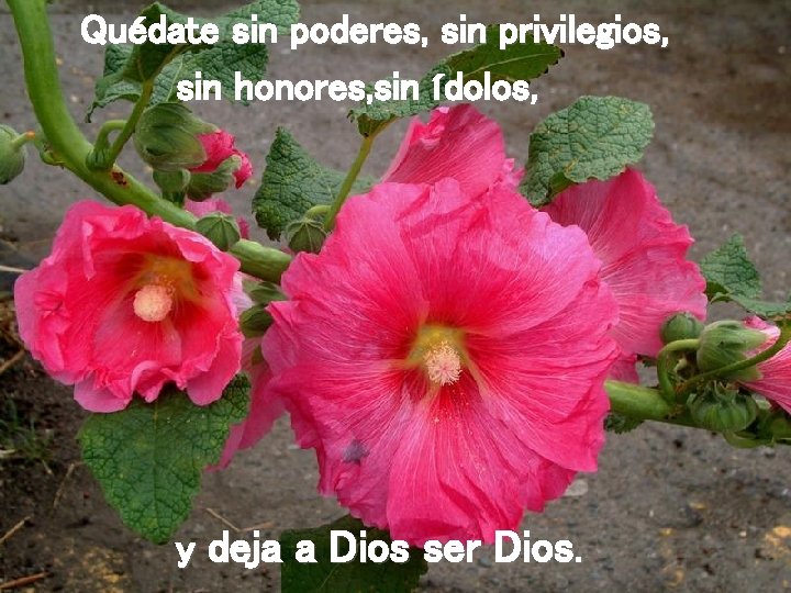 Quédate sin poderes, sin privilegios, sin honores, sin ídolos, y deja a Dios ser