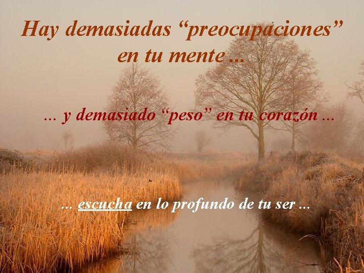 Hay demasiadas “preocupaciones” en tu mente. . . y demasiado “peso” en tu corazón.