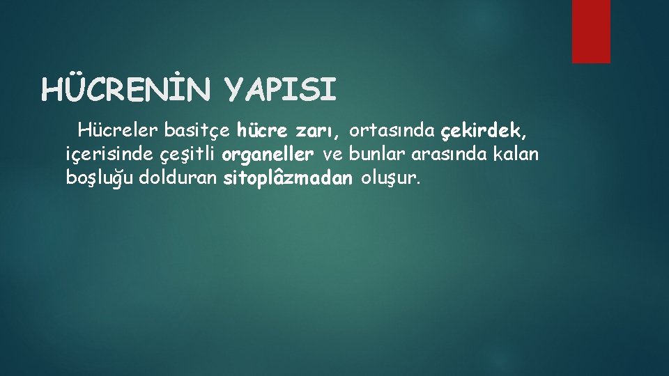 HÜCRENİN YAPISI Hücreler basitçe hücre zarı, ortasında çekirdek, içerisinde çeşitli organeller ve bunlar arasında