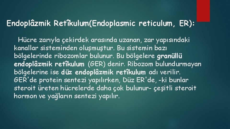 Endoplâzmik Retîkulum(Endoplasmic reticulum, ER): Hücre zarıyla çekirdek arasında uzanan, zar yapısındaki kanallar sisteminden oluşmuştur.