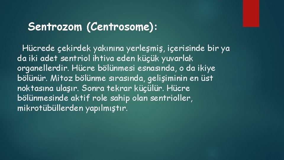 Sentrozom (Centrosome): Hücrede çekirdek yakınına yerleşmiş, içerisinde bir ya da iki adet sentriol ihtiva