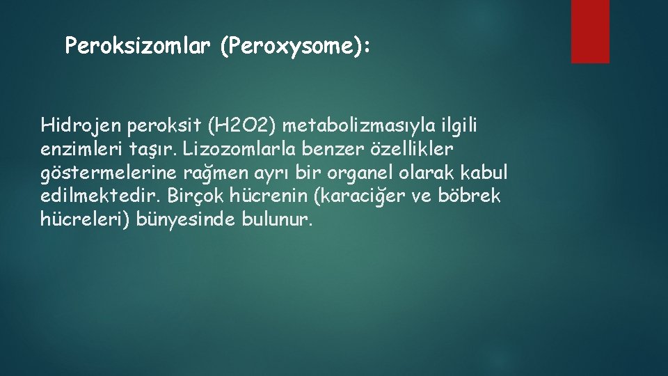 Peroksizomlar (Peroxysome): Hidrojen peroksit (H 2 O 2) metabolizmasıyla ilgili enzimleri taşır. Lizozomlarla benzer