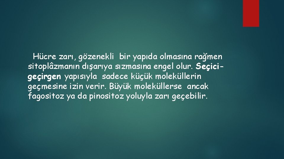 Hücre zarı, gözenekli bir yapıda olmasına rağmen sitoplâzmanın dışarıya sızmasına engel olur. Seçicigeçirgen yapısıyla