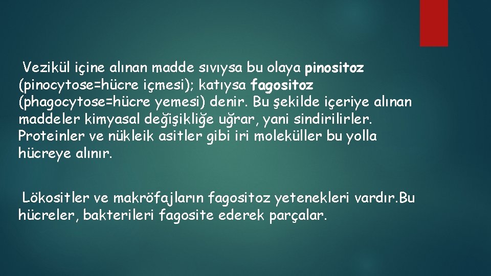 Vezikül içine alınan madde sıvıysa bu olaya pinositoz (pinocytose=hücre içmesi); katıysa fagositoz (phagocytose=hücre yemesi)