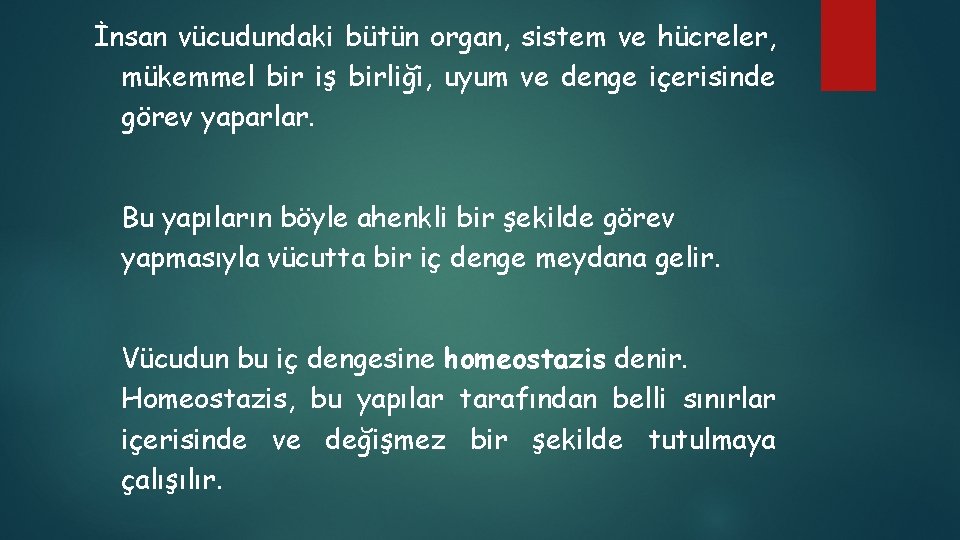 İnsan vücudundaki bütün organ, sistem ve hücreler, mükemmel bir iş birliği, uyum ve denge