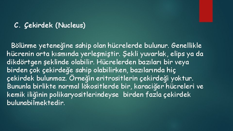 C. Çekirdek (Nucleus) Bölünme yeteneğine sahip olan hücrelerde bulunur. Genellikle hücrenin orta kısmında yerleşmiştir.