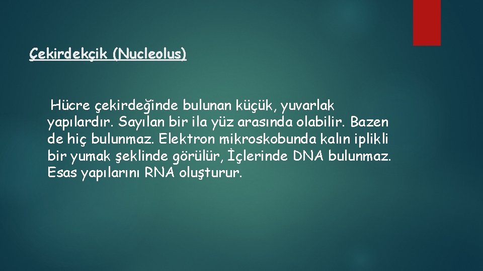 Çekirdekçik (Nucleolus) Hücre çekirdeğinde bulunan küçük, yuvarlak yapılardır. Sayılan bir ila yüz arasında olabilir.