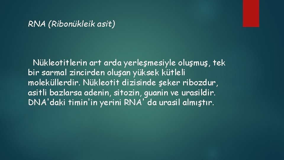RNA (Ribonükleik asit) Nükleotitlerin art arda yerleşmesiyle oluşmuş, tek bir sarmal zincirden oluşan yüksek