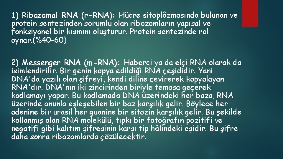 1) Ribozomal RNA (r-RNA): Hücre sitoplâzmasında bulunan ve protein sentezinden sorumlu olan ribozomların yapısal