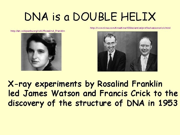 DNA is a DOUBLE HELIX http: //www. time. com/time 100/scientist/profile/watsoncrick. html http: //en. wikipedia.