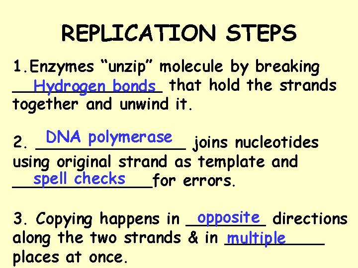 REPLICATION STEPS 1. Enzymes “unzip” molecule by breaking ________ Hydrogen bonds that hold the