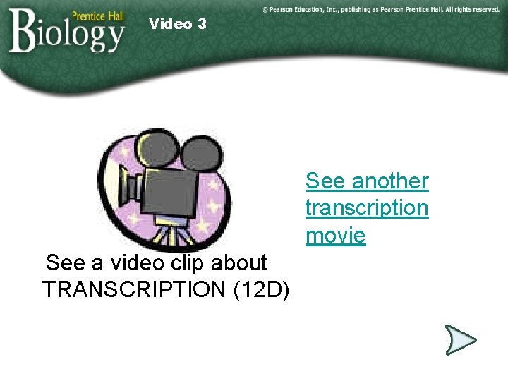Video 3 See another transcription movie See a video clip about TRANSCRIPTION (12 D)