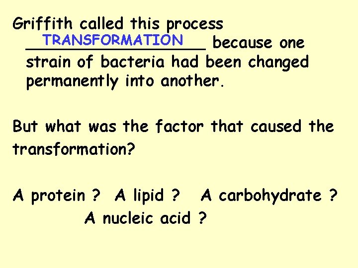 Griffith called this process TRANSFORMATION _________ because one strain of bacteria had been changed