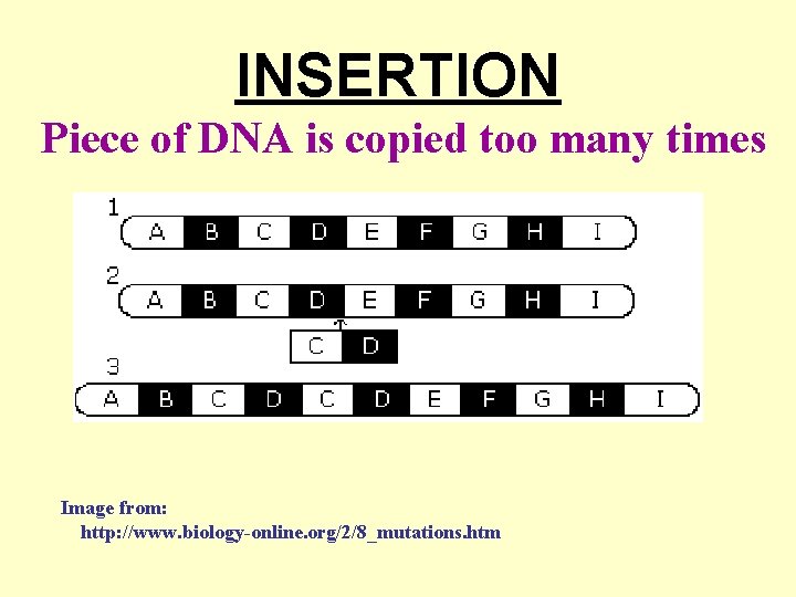 INSERTION Piece of DNA is copied too many times Image from: http: //www. biology-online.