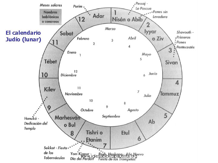 El calendario Judío (lunar) www. iglesiabiblicabautista. org 