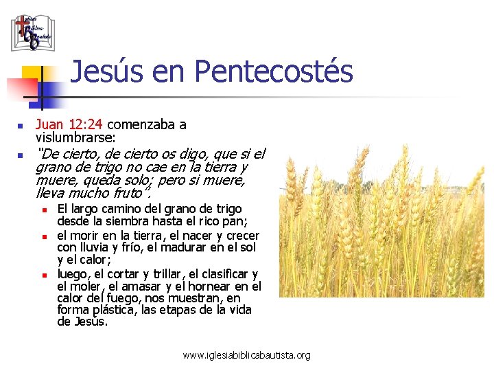 Jesús en Pentecostés n n Juan 12: 24 comenzaba a vislumbrarse: “De cierto, de