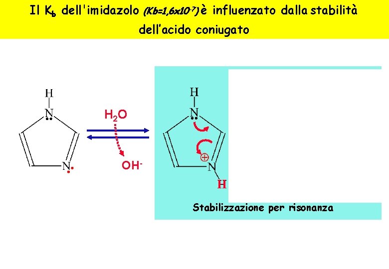 Il Kb dell'imidazolo (Kb=1, 6 x 10 -7) è influenzato dalla stabilità dell’acido coniugato Il Kb dell'imidazolo (Kb=1, 6 x 10 -7) è influenzato dalla stabilità dell’acido coniugato