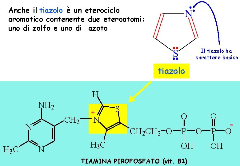 Anche il tiazolo è un eterociclo aromatico contenente due eteroatomi: uno di zolfo e Anche il tiazolo è un eterociclo aromatico contenente due eteroatomi: uno di zolfo e