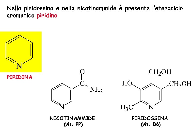 Nella piridossina e nella nicotinammide è presente l’eterociclo aromatico piridina PIRIDINA NICOTINAMMIDE (vit. PP) Nella piridossina e nella nicotinammide è presente l’eterociclo aromatico piridina PIRIDINA NICOTINAMMIDE (vit. PP)