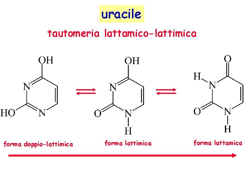 uracile tautomeria lattamico-lattimica forma doppio-lattimica forma lattamica uracile tautomeria lattamico-lattimica forma doppio-lattimica forma lattamica