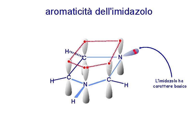 aromaticità dell'imidazolo H H N C C N H C H L’imidazolo ha carattere aromaticità dell'imidazolo H H N C C N H C H L’imidazolo ha carattere