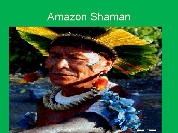 Amazon Shaman 